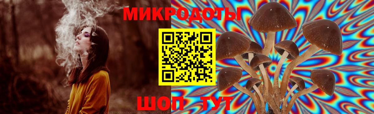 Галлюциногенные грибы MAGIC MUSHROOMS  Вход с VPN  Мичуринск 